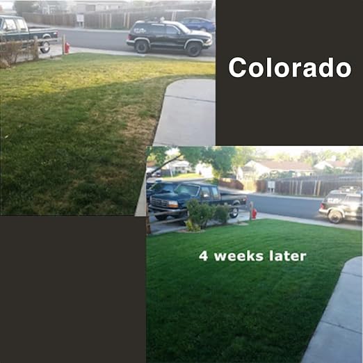 ExiGrow Alkaline Soil Treatment - Soil Loosener - Soil Conditioner - Soil Softener - Liquid Aeration - Any Grass Type - Repair Compact Soil, Standing Water, Poor Drainage - 32oz