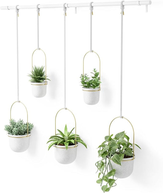 Umbra Triflora Hanging Planter for Window, Indoor Herb Garden, Set of 5, White/Brass