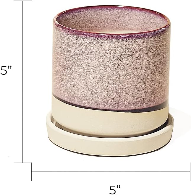 CHIVE ‘Minute’ Ceramic Planter Pot — Cute 5” Colorful Succulent Pots for Indoor & Outdoor House Plants — Beautiful Modern Farmhouse Kitchen Decor — Burgundy