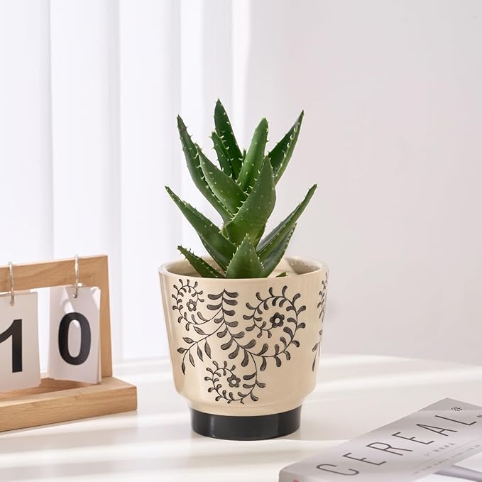 Indoor Ceramic Plant Pots with Drainage Holes 5 Inch Cute Succulent Flower Pots Small Orchid Planter Pots for Indoor Plants Garden Pots, Flower