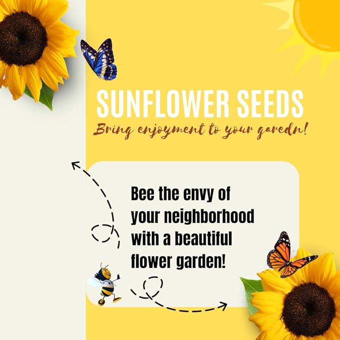 Dwarf Sunflower Seeds for Planting - to Plant and Grow Teddy Bear and Sunspot in Your Flower Garden.