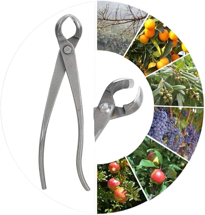 Bonsai Cutters, 8.5inch Concave Cutter Bonsai Tools Stainless Steel Bonsai Tree Knob Cutter Gardening Concave Pruner Tree Branch Cutter Long Reach Bonsai Tools