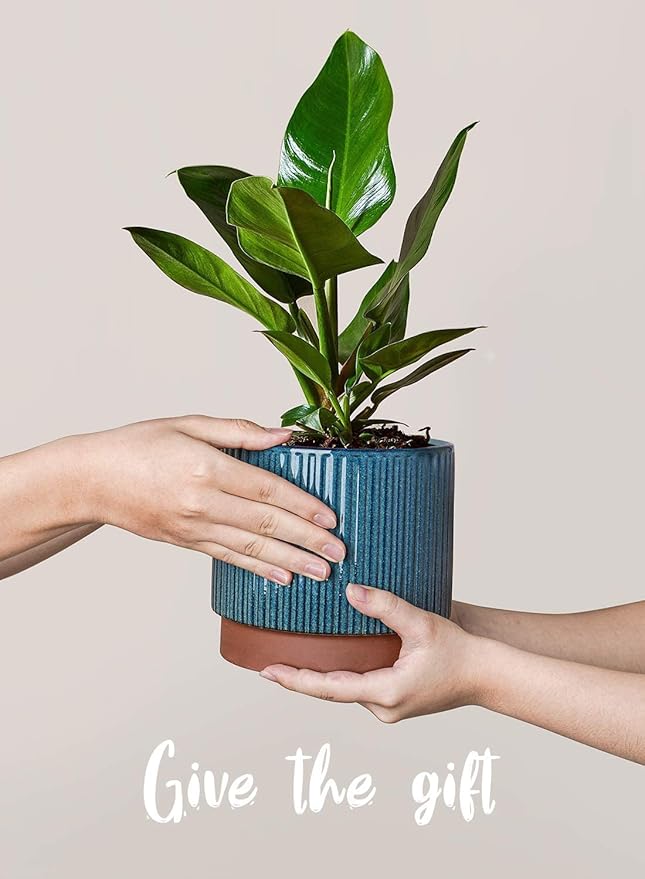 LE TAUCI Ceramic Plant Pots with Drainage Holes, Set of 3, 8+6.7+5.5 Inch Stripe Garden Planter Pots for Outdoor Indoor Plants Flower, Round Succulent Orchid Flower Pot Small to Large Size, Blue