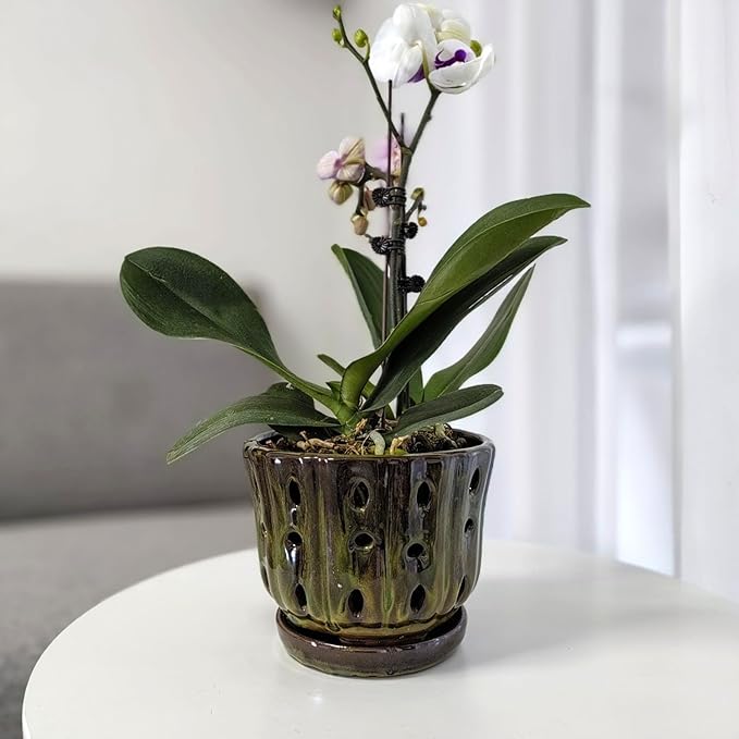 Ceramic Orchid Pots with Attached Saucer and Drainage Hole 6'' Orchid Planter (mossgreen)