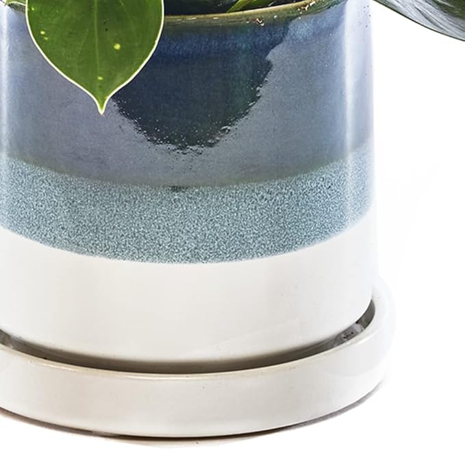 CHIVE ‘Minute’ Ceramic Succulent Planters — 5” Indoor Cactus & Flower Container Pots with Drainage & Detachable Saucer — Green Blue