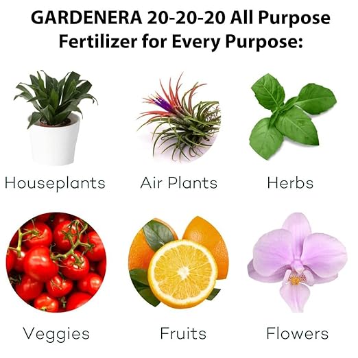 Premium 20-20-20 All-Purpose Soil Fertilizer by Gardenera - Ideal for Flowers, Plants, Vegetables, Fruit Trees and Lawns - 2 Quart