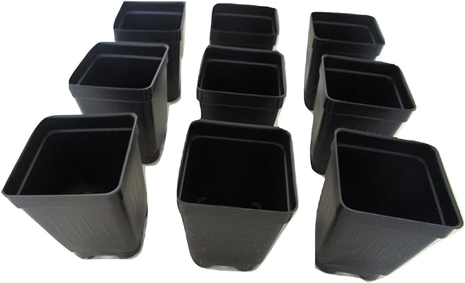 2.5" Square Extra Deep Landmark Nursery Pots - Press Fit (50)