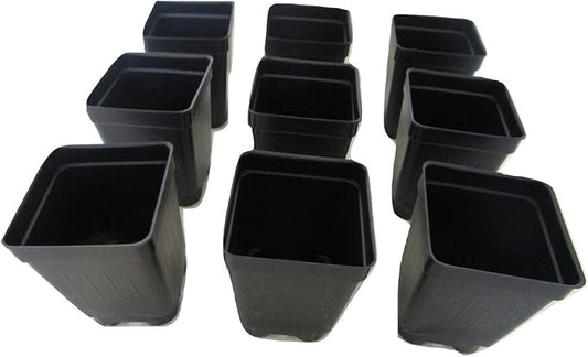 2.5" Square Extra Deep Landmark Nursery Pots - Press Fit (100)