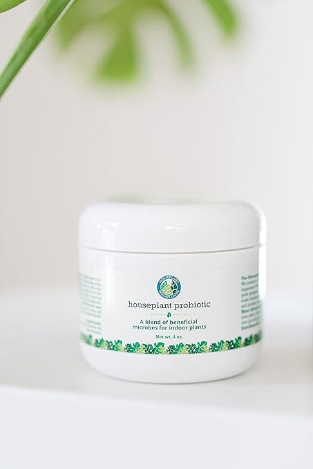 House Plant Probiotic Powder - Soil Conditioner to Provide Essential for Fiddle Leaf figs and All Varieties of houseplant.