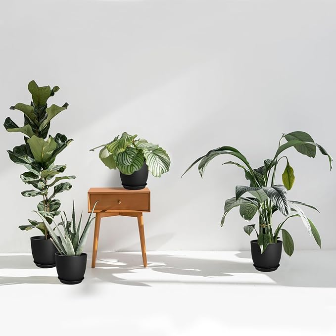 8 inch Plant Pots Set of 4 Pack, Plastic Planters with Drainage Holes and 4 Saucers, Morden Decorative Creation Flower Pots for Indoor & Outdoor Garden House Plants, Black