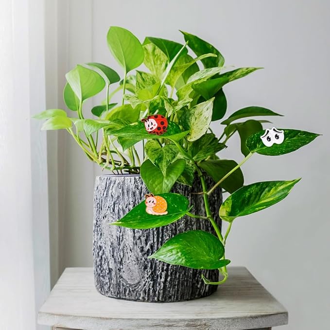 AUAUY Plant Magnets Eyes for Potted Plants, 6PCS Silicone Plant Safe Magnet Pins Charms, House Plant Accessories Unique Gifts for Plant Lovers