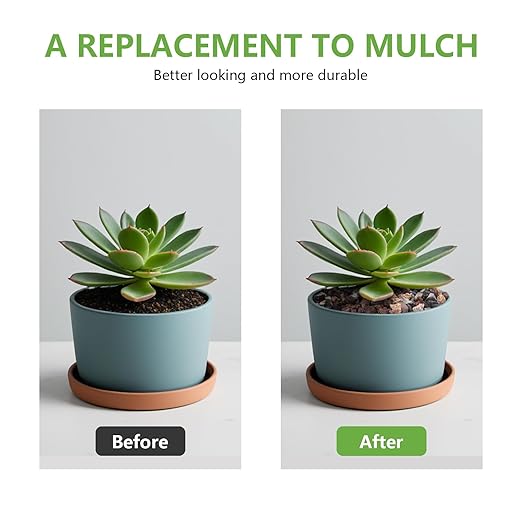 5lbs Lava Rocks for Plants, 1/5 Inch Pea Gravel for Pots Indoor, Succulent, Terrarium, Cactus, Bamboo, Bonsai Tree, Mixed Color Volcanic Rocks for Top-Dressing, Good Drainage