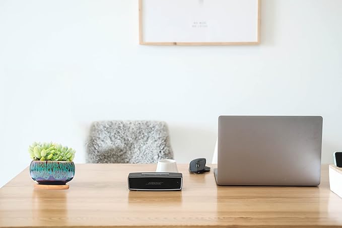 Cute Ceramic Succulent Garden Pots, Planter with Drainage and Attached Saucer, Set of 5 -Plants Not Included (Round)