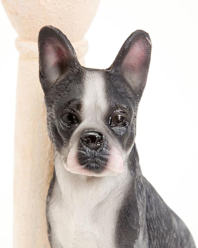 Bits and Pieces - Solar Dog Lantern-Solar Powered Garden Lantern - Resin Dog Sculpture with LED Light (Boston Terrier)