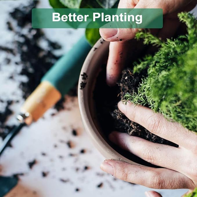 vensovo 4 Inch Small Pink Terracotta Plant Pots with Saucer - 6 Pack Clay Flowerpots with Drainage, Great for Indoor Outdoor Plants, Crafts, Wedding Favor