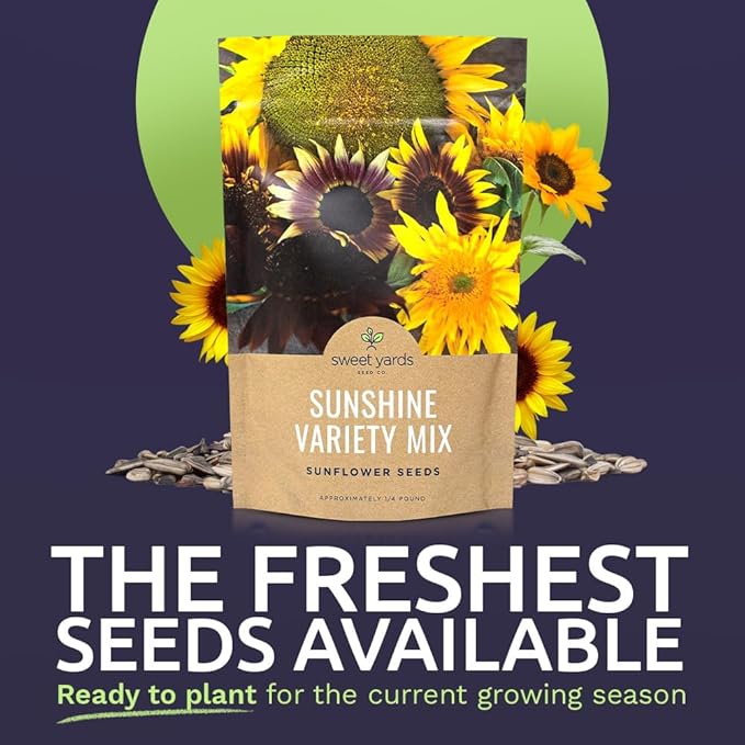 Bulk Sunflower Seeds - Variety Mix 10 Types of Beautiful Sunflowers - 1/4 Pound Bag Open Pollinated Sunflower Seeds for Planting