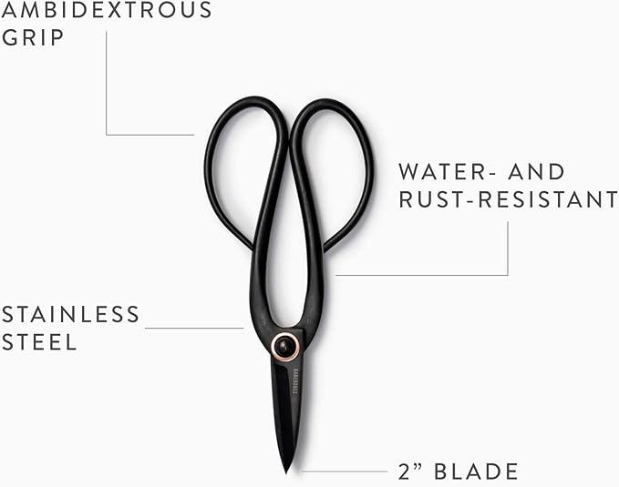 Barebones Artisan Pruning Shears - Gardening Shears and Herb Scissors - Essential Gardening Tools for Herb Gardens and Planting - Rust-resistant Garden Clippers
