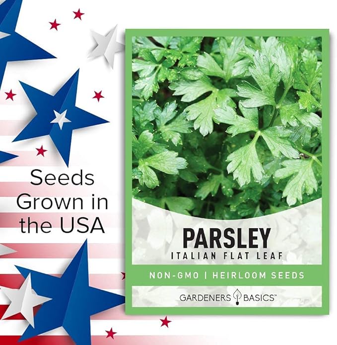 Gardeners Basics, Parsley Seeds for Planting, Italian Flat Leaf is A Heirloom, Open-Pollinated, Non-GMO Herb Variety- Great for Indoor and Outdoor Gardening and Herbal Tea Gardens