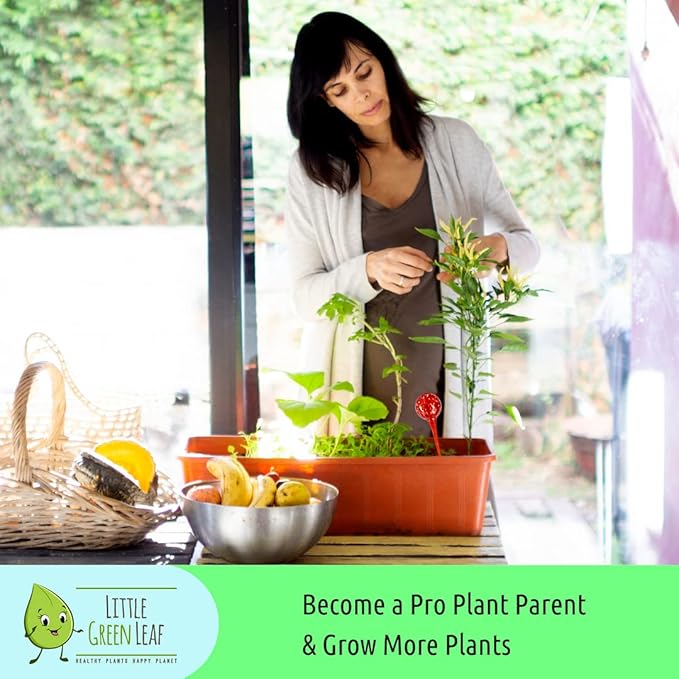 LGL Plant Watering Globes - 1 Piece. Decorative Self Watering Planter Inserts Made From Hand-Blown Durable Glass. Keep your Outdoors and Indoor Plants Healthy. Ideal Plant Lover Gift (1pk Small)