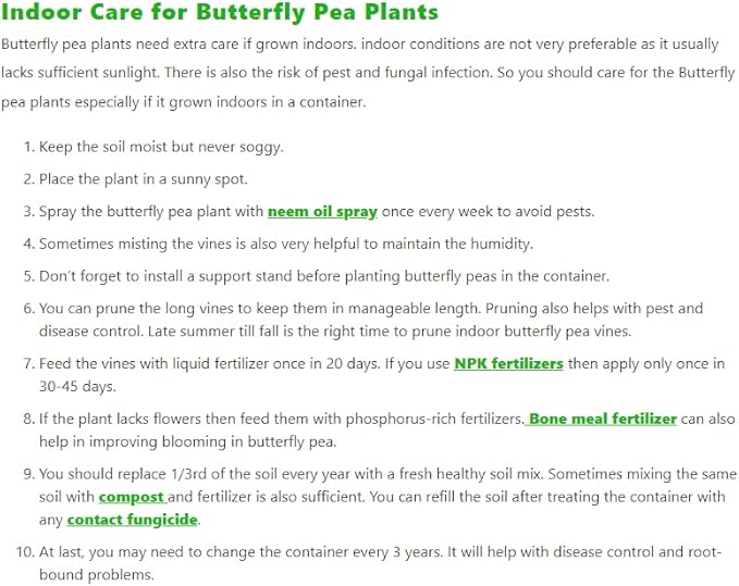 100 Butterfly Pea Flower Seeds - HOA Dau Biec - Blue Butterfly Pea Vine Seeds (Clitoria Ternatea) Asian Pigeonwings -Tropical Vine Plant Seeds- Edible Flower Seeds