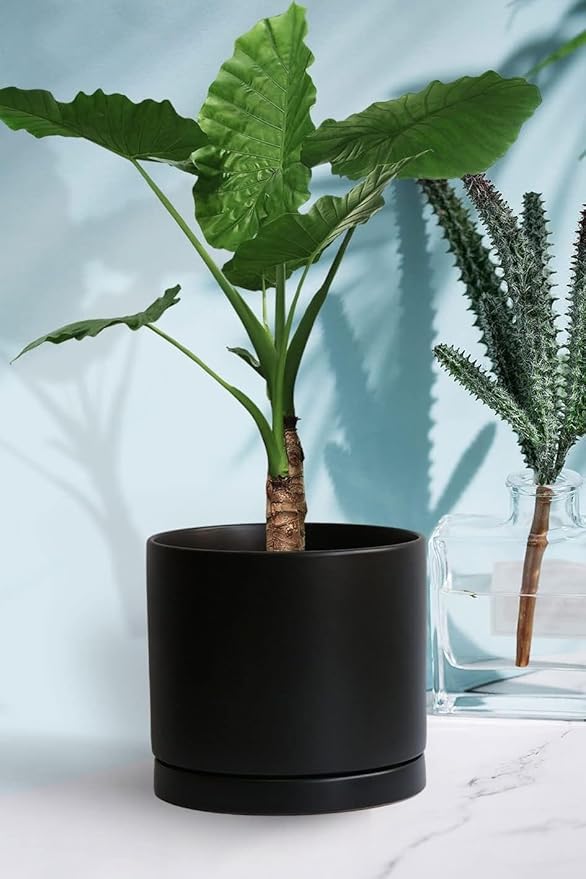 Ceramic Plant Saucer Pot Tray 12 Inch, Planter Saucers 4 5 6 7 8 9 10 11 12 Inch for Indoors Outdoor, Durable Sturdy Flower Drainage Tray for Glazed Pots Base (12.5 Inch-Black)