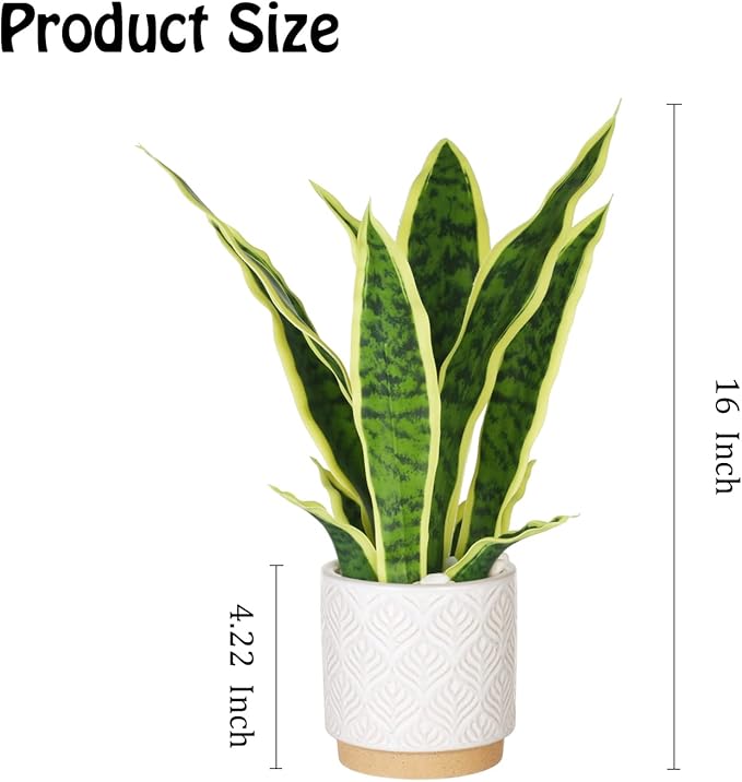 Artificial Snake Plant 16" with White Ceramic Pot Sansevieria Plant Fake Snake Plant Greenery Faux Plant in Pot for Home Office Living Room Housewarming Gifts Indoor Outdoor Decor-Yellow