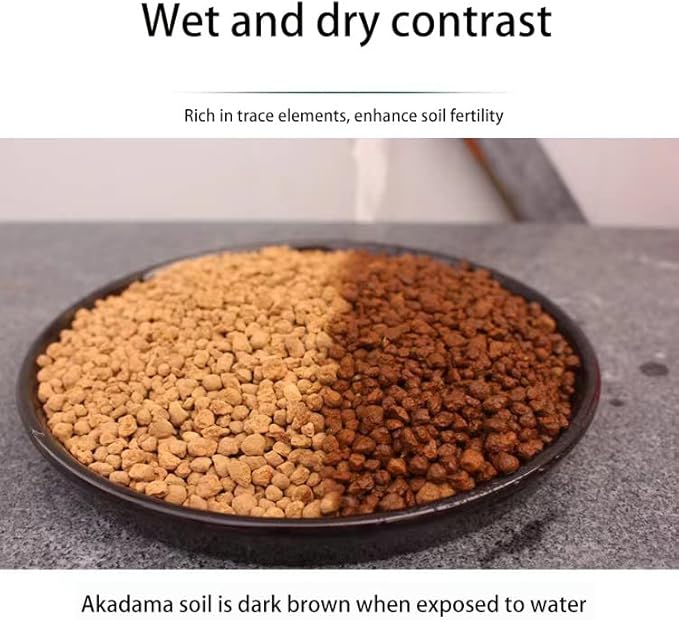 20 lb Japanese Super Hard Akadama Bonsai Tree Soil(Large Grain 12-18mm) for Medium - Large Bonsai Trees and Bonsai Plants, Bonsai Subsoil