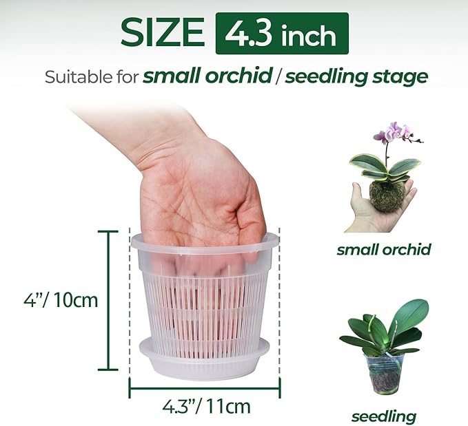 T4U Orchid Pot, 6 Pack 4.3 Inch Orchid Pots with Holes and Saucers, Clear Orchid Pots for Repotting, Plastic Flower Plant Pot for Indoor Outdoor Plants, Slotted Orchids Planter for Root Health