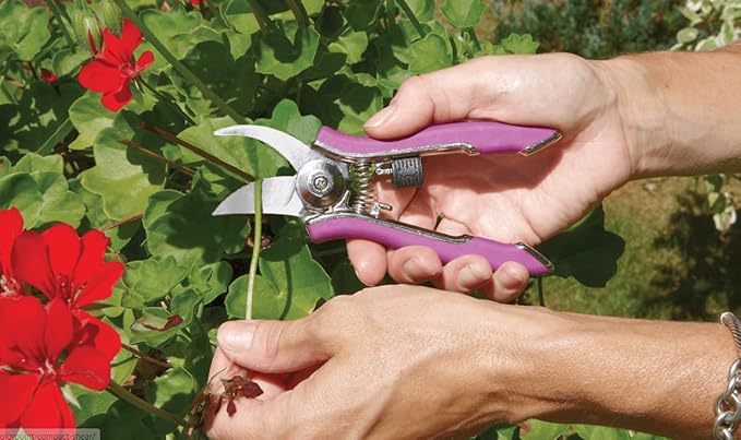 Dramm 18016 Stainless Steel Compact Pruner, Berry