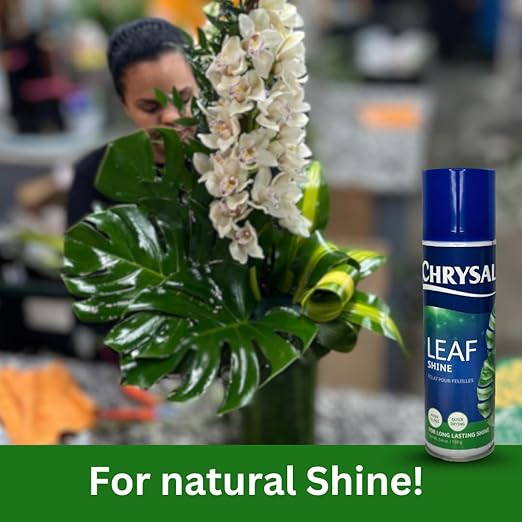 Chrysal Leaf Shine Spray for Indoor Plants – Flower Arrangement Spray for Flower Bouquets, House Plants, & More – Environmentally Safe Plant Cleaner Removes Dust – Flower & Gardening Supplies (2 Pack)