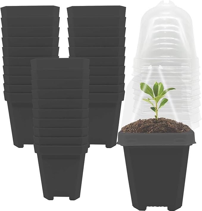 EBaokuup 30PCS Plant Nursery Pots with Humidity Dome, Small Plastic Square Flower Pot Planting Container, Plastic Gardening Pot