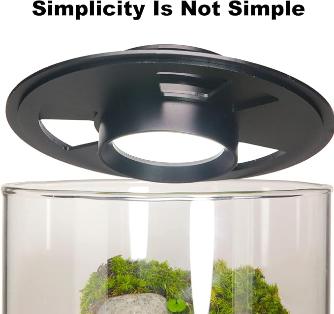 Desktop Glass Plant Terrarium with Grow Light (H:9.8" D:5.9"), for Succulent, Moss, Miniature Gardening Landscape, Betta Fish Tank, Indoor Plant Growth, Office Home Decoration, Plant Lovers Gifts