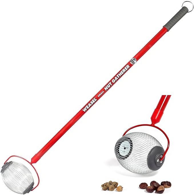 Garden Weasel Nut Gatherer - Small Cage | Pick Up Small Acorns, Buckeyes, Beech Nuts | Nut Collector and Picker Upper Roller | 95334