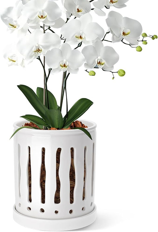 6 Inch Ceramic Orchid Pot with Large Slotted Holes, Orchid Planter for Enhanced Air Circulation, Orchid Pots with Drainage Tray, White