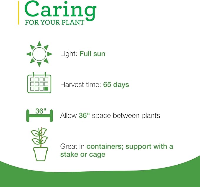 Bonnie PLANTS Husky Cherry Red Tomato Live Vegetable Plants - 4 Pack, Non-GMO, Bite Sized, Disease Resistant