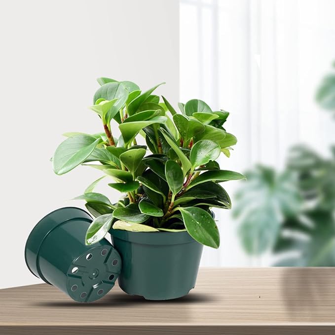 DAPERCI inches Nursery Pot Plant Grow Sturdy Flower pots in Bulk Price 20P Green