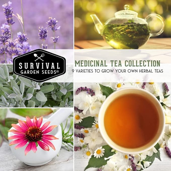 Medicinal Tea Seeds Collection - 9 Non-GMO Heirloom Herbs to Grow in The Garden - Chamomile, Lavender, Echinacea, Catnip, Lemon Balm, Marigold, Sage, Peppermint, White Yarrow - Survival Garden Seeds
