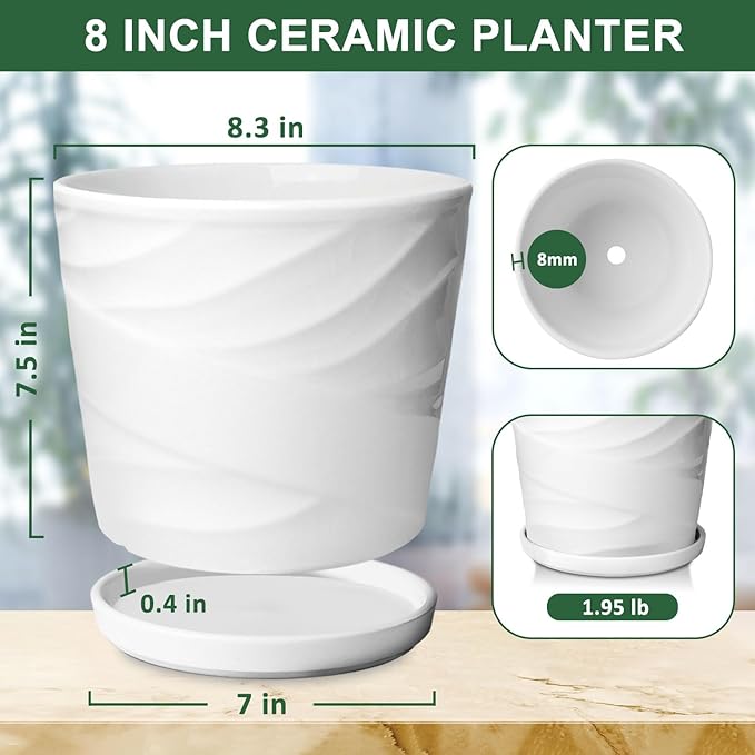 8 Inch Plant Pot, Ceramic Planter with Drainage and Saucer, Ceramic Pots for Plants, Indoor Plant pots,Succulent Orchid Flower Pot(Pure White)