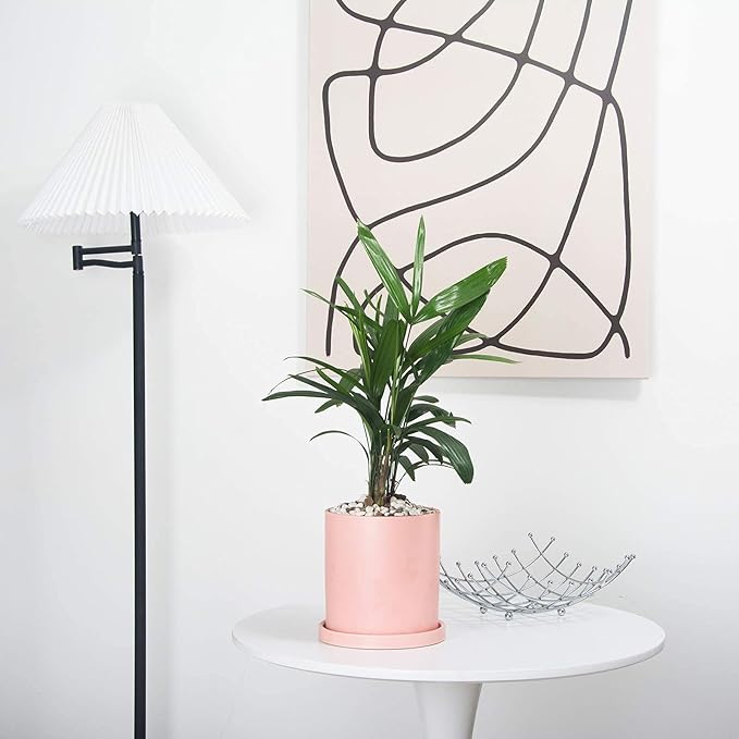 Planters for Indoor Plants Ceramic Flower Succulent Plant Pots with Drain Hole Saucer Decor for Home Office (4 inch Pink)