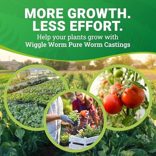 100% Pure Organic Worm Castings Fertilizer, 15-Pounds (2 Pack) - Improves Soil Fertility and Aeration for Houseplants, Vegetables, Gardens, and More – OMRI-Listed and Mineral-Dense