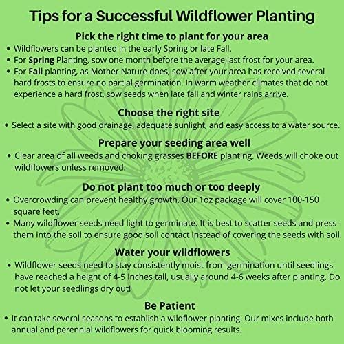 Fragrant Wildflower Seeds Mix - 1oz, Aromatic Annual and Perennial Wildflower Seeds – Create The Perfect Garden with Non-GMO Natural Seeds!