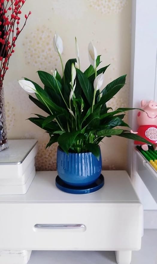 Ceramic Plant Saucer Pot Tray 12 Inch, Planter Saucers 4 5 6 7 8 9 10 11 12 Inch for Indoors Outdoor, Durable Sturdy Flower Drainage Tray for Glazed Pots Base (12.5 Inch-Blue)