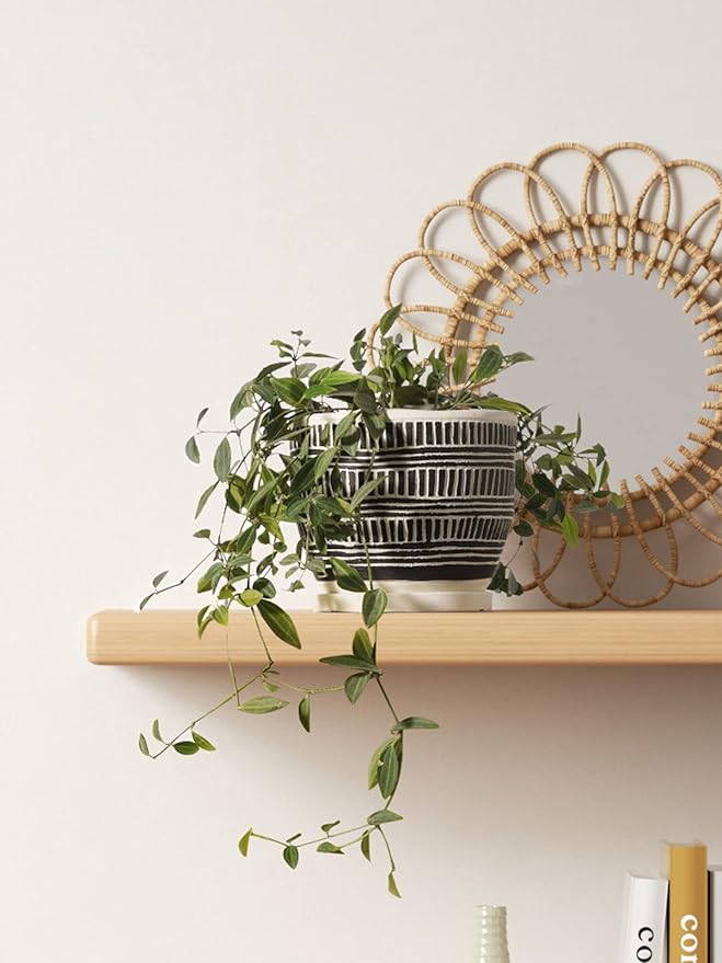 LE TAUCI 5.5 Inch Boho Plant Pots Indoor, Artisanal Cement Pots for Indoor Plants, Succulent Pots with Drainage Holes and Saucers, Planters for Indoor Plants, Set of 2, Black and Cream White