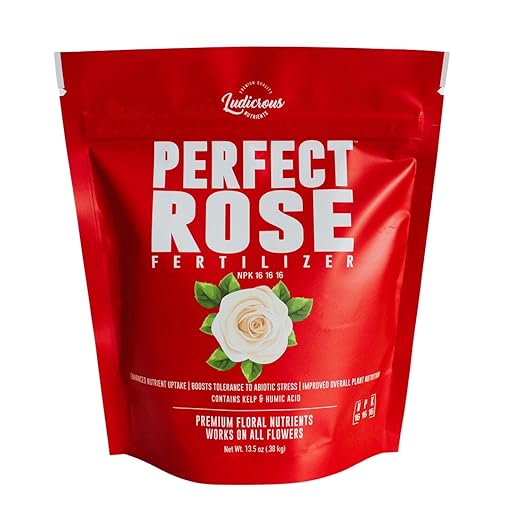 Perfect Rose Fertilizer – Premium Rose and Flower Fertilizer – Floral Nutrients for All Types of Flowers – Plant Fertilizer with Kelp for Soil and Hydroponic Flower Gardens