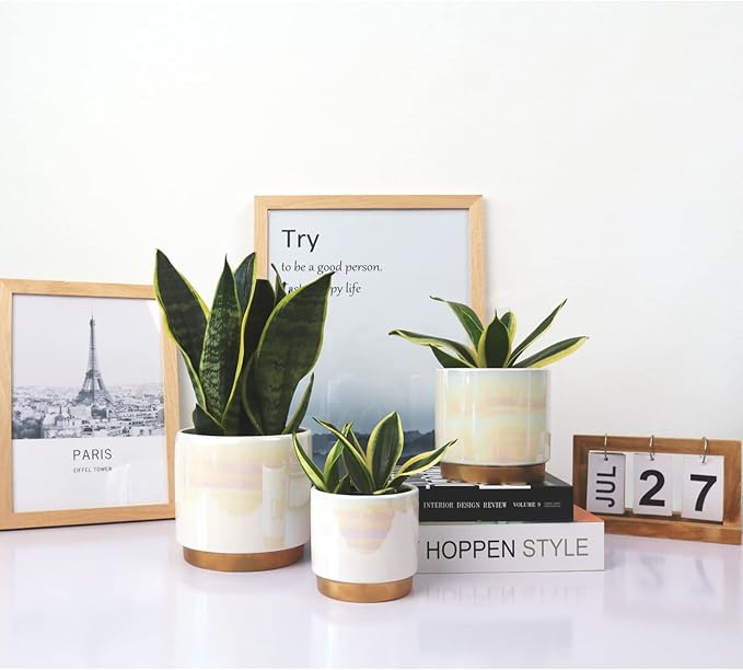 Gepege White Indoor Pots for Plants, Ceramic Planter with Drainage Hole, 6.0 inch+5.0 Inch+4.0 Inch. Succulent Orchid Flower Pot - Rainbow Pearl Glaze