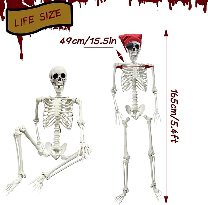 5.4Ft Halloween Skeleton - Life Size Full Body Realistic Human Bones with Posable Joints for Halloween Pose Skeleton Prop Decoration