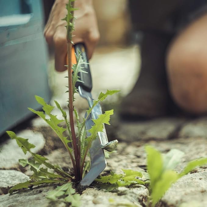 Fiskars 315550-1001 315550 Xact Hand Edger, Silver/Black