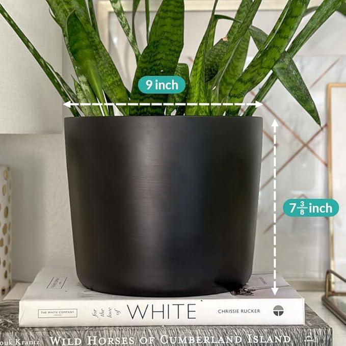 Willowy 9 Inch Black Ceramic Plant Pot - 9 Inch Plant Pot, Pot for Indoor Plants, 9 Inch Planter, Black Ceramic Pot, Tall Plant Pot, Modern Planter, Black Flower Pot, Black Ceramic Planter