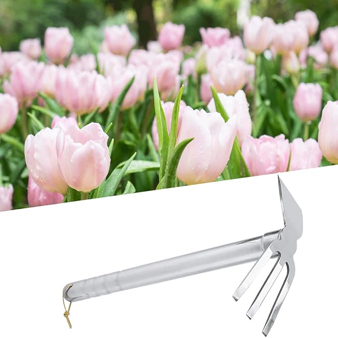 Gardening Rakes Shovel,Digging Hoe Garden Tools 2 in 1 Hoe and Rake,Heavy Duty Stainless Steel Vegetable Flower Planting Digging Gadget (Hoe and Rake)