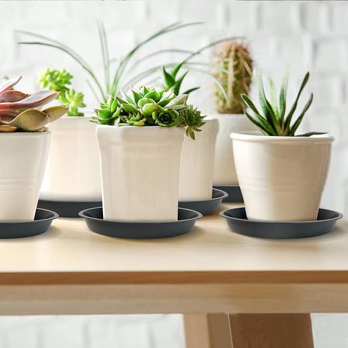 6 Pack Plant Saucer 4 6 8 10 12 14 16 18 20 22 Inch Plastic Plant Tray, Sturdy and Durable Flower Pot Container Accessories Plant Pot Saucers for Indoor and Outdoor (6 Inch, Gray)